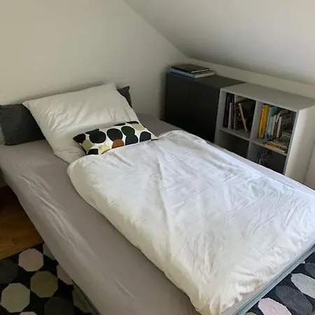 Wohnung Mit Einer Sauna Direkt Am Park Wiesbaden Exterior photo