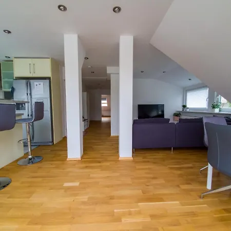 Wohnung Mit Einer Sauna Direkt Am Park Wiesbaden Exterior photo